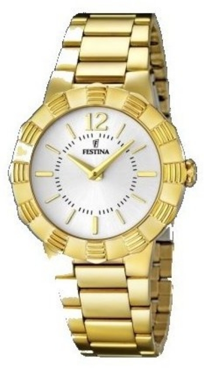 Obrazek Festina