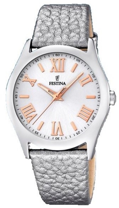 Obrazek Festina