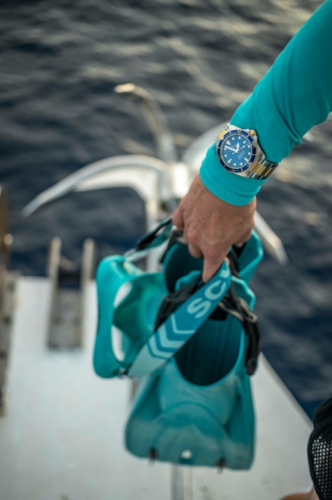 Certina DS Action Diver Sea Turtle Conservancy Special Edition