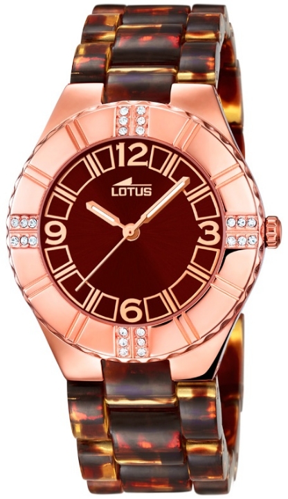 Obrazek Lotus Trendy