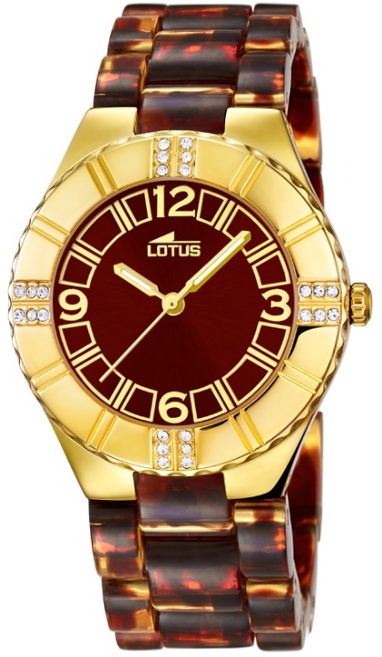 Obrazek Lotus Trendy