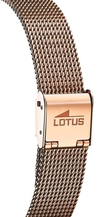 Lotus Smart Casual