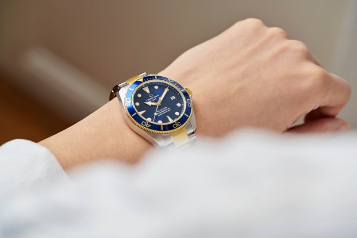 Certina DS Action Diver Sea Turtle Conservancy Special Edition