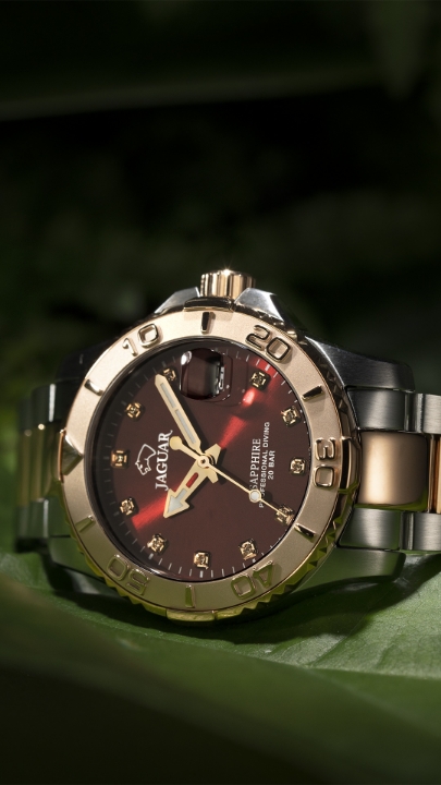 Obrazek Jaguar Executive Diver