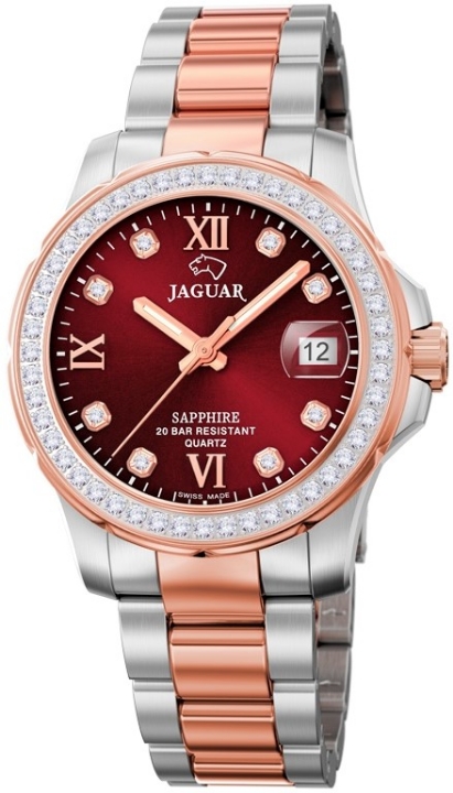 Obrazek Jaguar Executive Diver