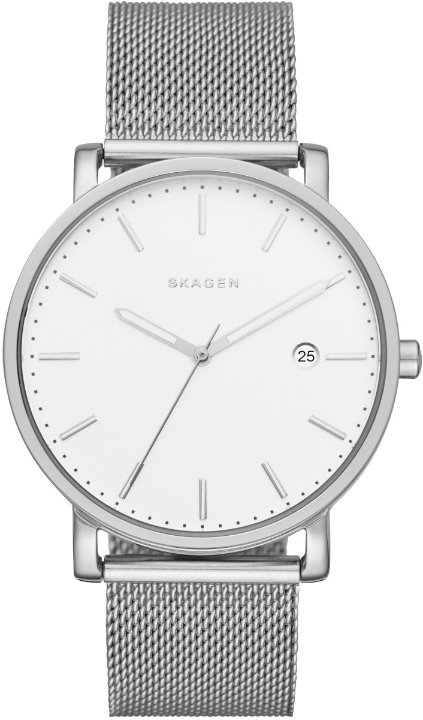 Obrazek SKAGEN HAGEN