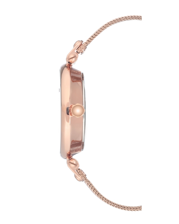 Obrazek ANNE KLEIN Rose Gold Mesh Bracelet