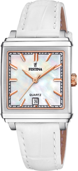 Obrazek Festina Classics