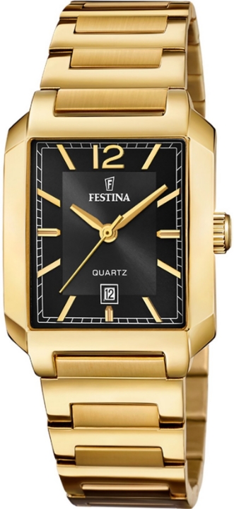 Obrazek Festina Classics