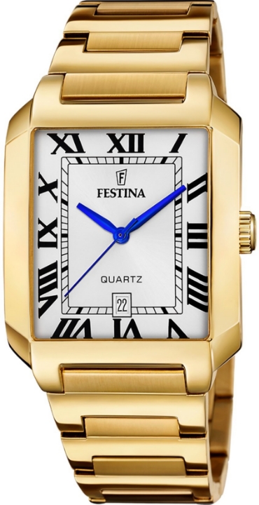 Obrazek Festina Classics