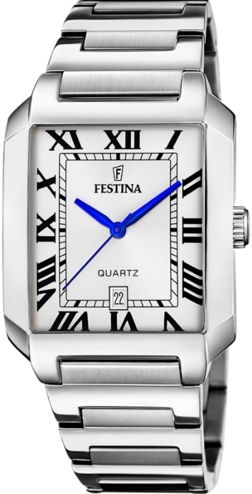 Obrazek Festina Classics