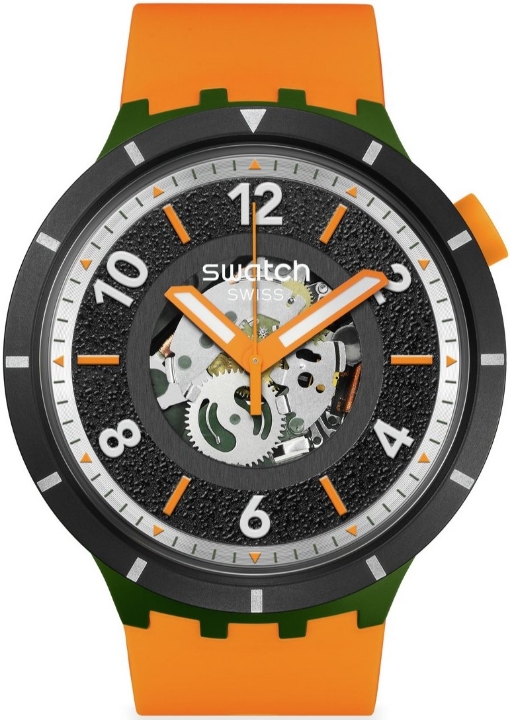 Swatch Fall-iage