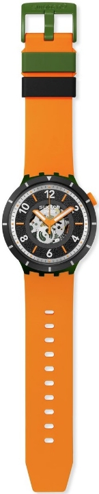 Swatch Fall-iage