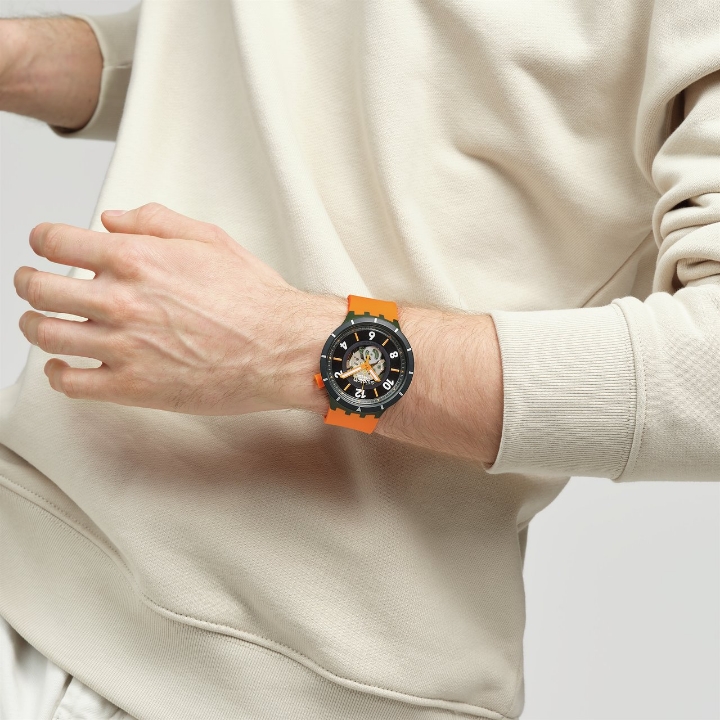 Swatch Fall-iage