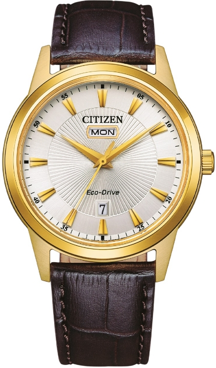 Obrazek CITIZEN Elegance