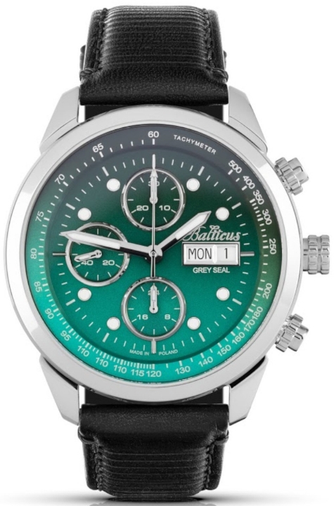 Obrazek Balticus Grey Seal Chrono Zielony Gradient