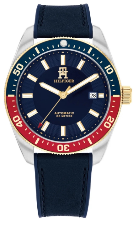 Obrazek TOMMY HILFIGER TH85