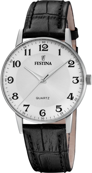 Obrazek Festina Classics