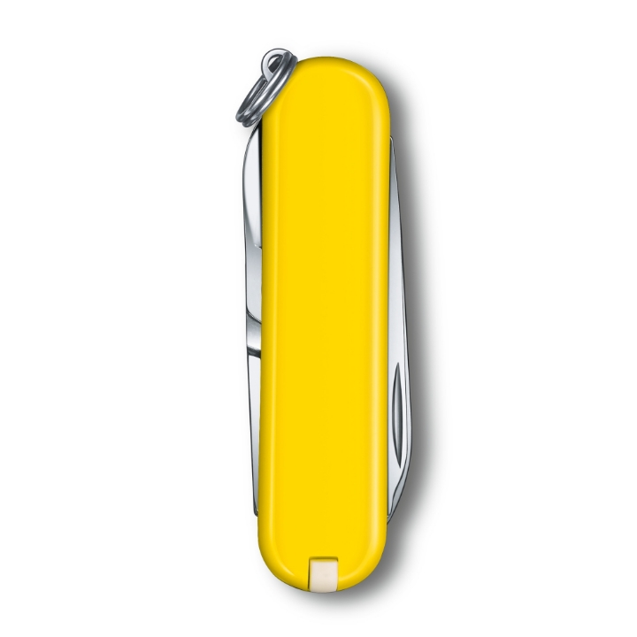 Obrazek Scyzoryk Victorinox Classic SD Colors, 58mm, Celidor, Sunny Side