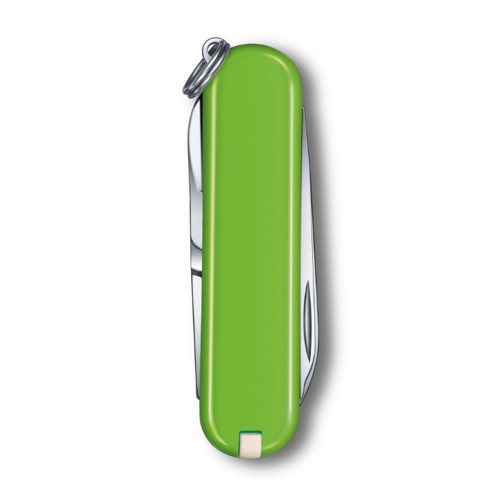 Scyzoryk Victorinox Classic SD Colors, 58mm, Celidor, Smashed Avocado