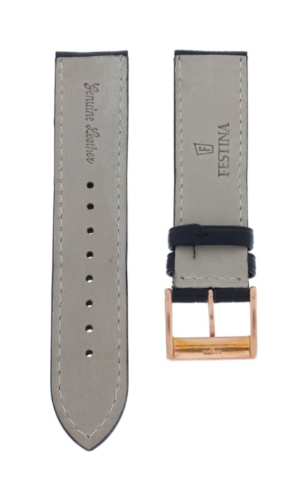 STRAP MODEL F16353