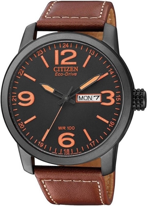 Obrazek CITIZEN Leather