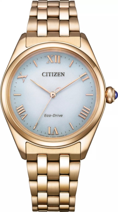 Citizen L Lakeside at dawn