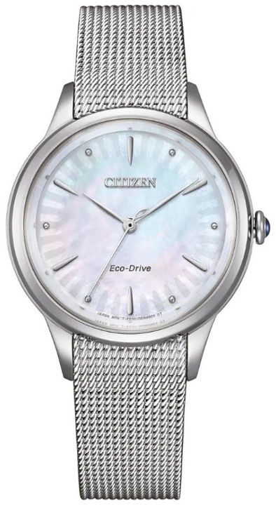 Citizen L Gerbera