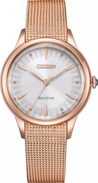 Citizen L Gerbera