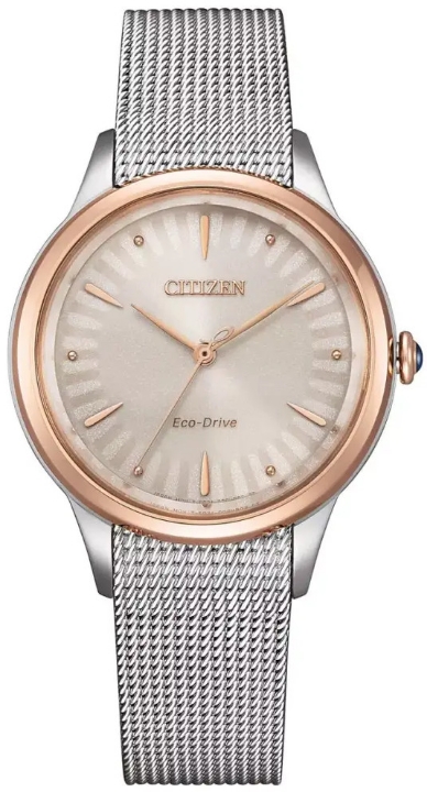 Citizen L Gerbera