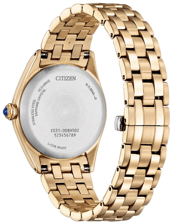 Citizen L Lakeside at dawn