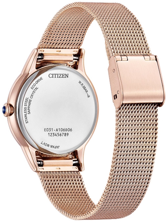 Citizen L Gerbera