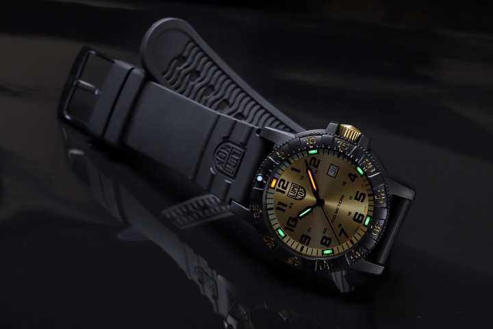 Luminox Leatherback Sea Turtle Giant 0320 Series