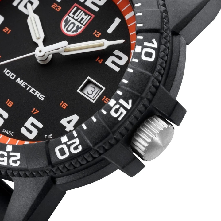 Luminox Leatherback Sea Turtle Giant 0320 Series