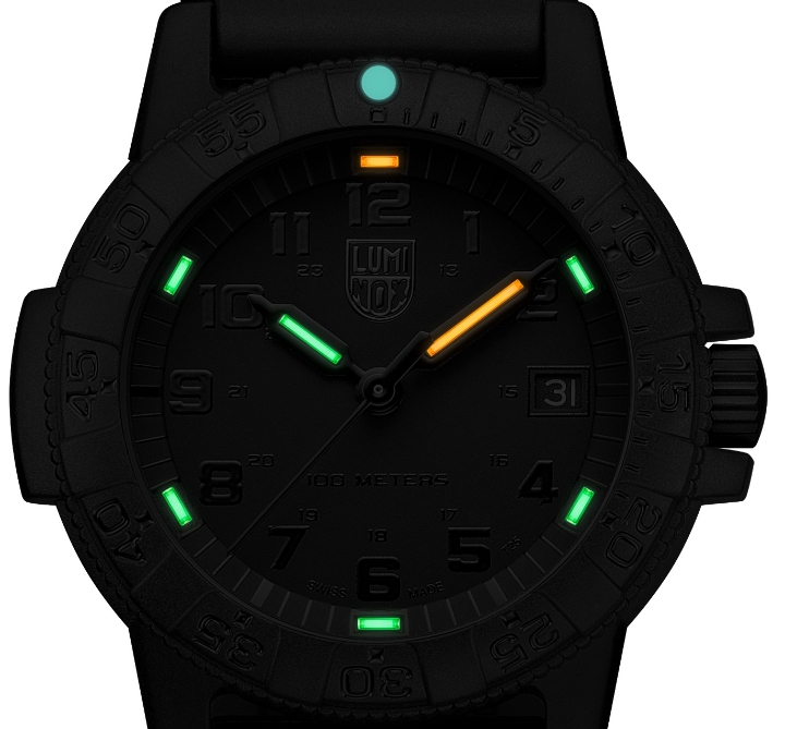 Luminox Leatherback Sea Turtle 0300 Series