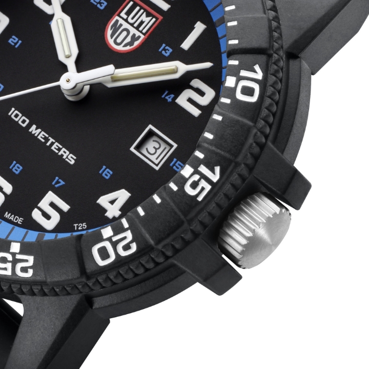 Luminox Leatherback Sea Turtle Giant 0320 Series