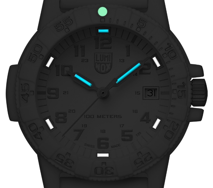 Luminox Leatherback Sea Turtle 0300 Series