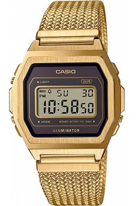 Picture: CASIO A1000MGA-5EF