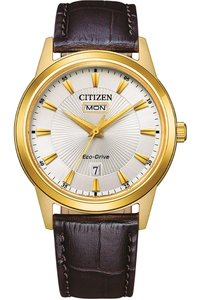 Picture: CITIZEN AW0102-13AE