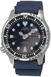 Picture: CITIZEN NY0040-17LE