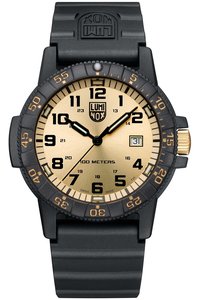 Picture: LUMINOX XS.0325.GP