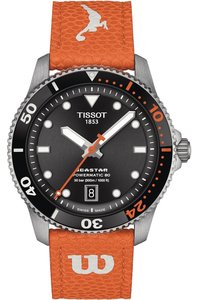 Picture: TISSOT T120.807.17.051.00